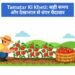 Tamatar Ki Kheti: सही समय और देखभाल से बंपर पैदावार