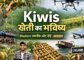 Kiwis खेती का भविष्य आधुनिक तकनीक, नए ट्रेंड और किसानों के लिए सुनहरे अवसर (2026 Guide)
