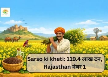 Sarso ki kheti: 119.4 लाख टन, Rajasthan नंबर 1