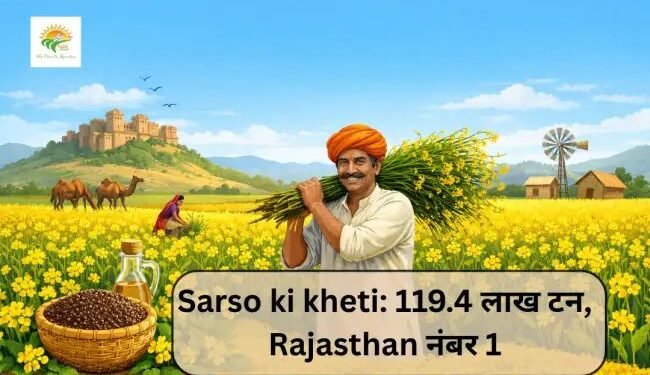 Sarso ki kheti: 119.4 लाख टन, Rajasthan नंबर 1