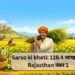 Sarso ki kheti: 119.4 लाख टन, Rajasthan नंबर 1