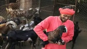 बकरी पालन बना कम निवेश में मुनाफे का दमदार बिजनेस, 90% तक सब्सिडी से खुलेंगे नए अवसर