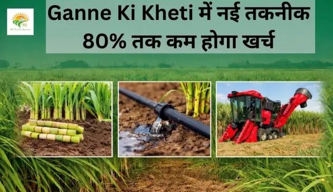 Ganne Ki Kheti में नई तकनीक, 80% तक कम होगा खर्च