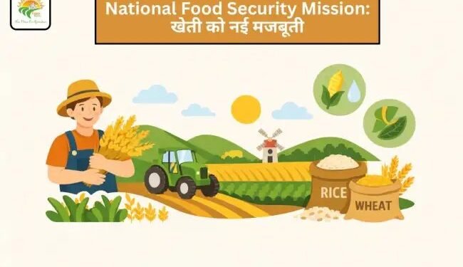 National Food Security Mission: खेती को नई मजबूती