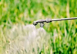 2025-26 में एग्रीकल्चर एक्सपोर्ट 2.8% बढ़कर USD 52.55 bn हो गया