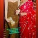 उर्वशी रौतेला के अंदाज़ पर फिदा हुईं शोभा डे