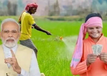 खरीफ 2026 से पहले किसानों को बड़ी राहत! मोदी कैबिनेट ने बढ़ाई खाद सब्सिडी, 41,500 करोड़ का बड़ा फैसला