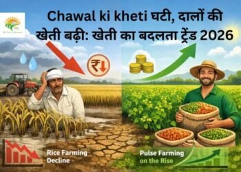 Chawal ki kheti घटी, दालों की खेती बढ़ी: खेती का बदलता ट्रेंड 2026