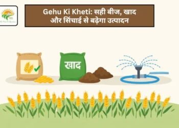 Gehu Ki Kheti: सही बीज, खाद और सिंचाई से बढ़ेगा उत्पादन