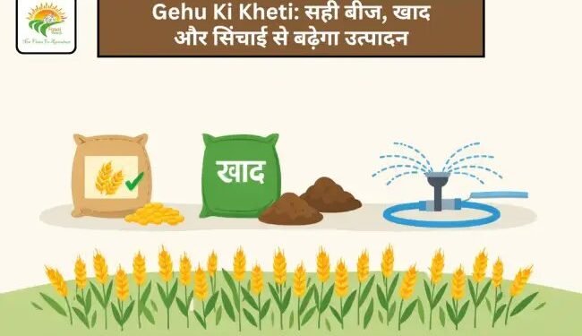 Gehu Ki Kheti: सही बीज, खाद और सिंचाई से बढ़ेगा उत्पादन