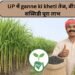 UP में ganne ki kheti तेज, बीज सब्सिडी पूरा लाभ