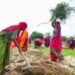 ‘विकसित भारत – G-RAM-G एक्ट 2025’ से जुड़े सभी देशव्यापी प्रतियोगिताओं की अंतिम तिथियाँ बढ़ीं, युवाओं को मिला 15 दिन का अतिरिक्त मौका