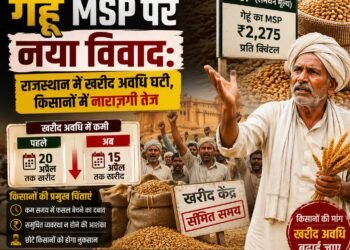 गेहूं MSP पर नया विवाद: राजस्थान में खरीद अवधि घटी, किसानों में नाराज़गी तेज