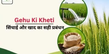 Gehu Ki Kheti: सिंचाई और खाद का सही प्रबंधन