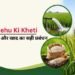 Gehu Ki Kheti: सिंचाई और खाद का सही प्रबंधन