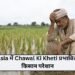 Asia में Chawal Ki Kheti प्रभावित, किसान परेशान