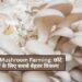 Oyster Mushroom Farming: छोटे किसानों के लिए सबसे बेहतर विकल्प