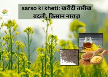 sarso ki kheti: खरीदी तारीख बदली, किसान नाराज़