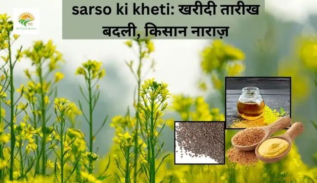 sarso ki kheti: खरीदी तारीख बदली, किसान नाराज़