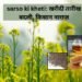 sarso ki kheti: खरीदी तारीख बदली, किसान नाराज़