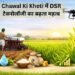 Chawal Ki Kheti में DSR टेक्नोलॉजी का बढ़ता महत्व