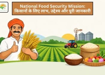 National Food Security Mission: किसानों के लिए लाभ, उद्देश्य और पूरी जानकारी