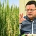 किसानों को बड़ी राहत: उत्तराखंड हाई कोर्ट ने रोकी धान नर्सरी नष्ट करने की कार्रवाई