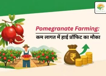 Pomegranate Farming: कम लागत में हाई प्रॉफिट का मौका