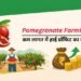 Pomegranate Farming: कम लागत में हाई प्रॉफिट का मौका
