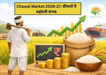Chawal Market 2026-27: कीमतों में बढ़ोतरी संभव