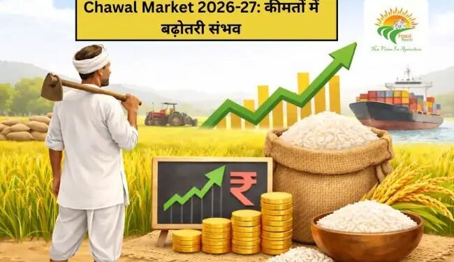Chawal Market 2026-27: कीमतों में बढ़ोतरी संभव
