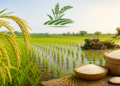 धान (Paddy) की खेती: अधिक उत्पादन और बेहतर मुनाफे के लिए वैज्ञानिक खेती का महत्व