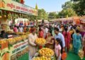 National Mango Festival की तैयारी तेज, आमों का होगा जलवा