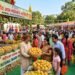 National Mango Festival की तैयारी तेज, आमों का होगा जलवा
