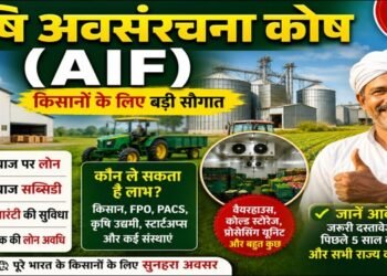 AIF Scheme