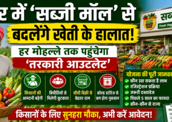 Bihar Vegetable Mall Scheme