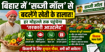Bihar Vegetable Mall Scheme