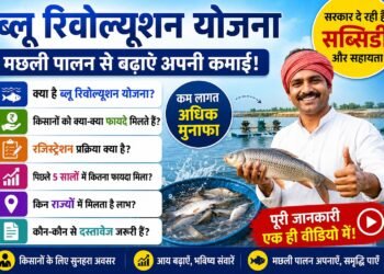 Blue Revolution Scheme ? जानें मछली पालन से किसानों की आय बढ़ाने वाली सरकारी योजना की पूरी जानकारी