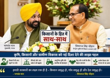 पंजाब में हाइब्रिड धान बीजों पर उठे सवाल