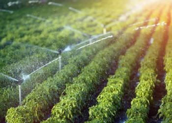 Har Khet Ko Pani Yojana