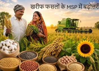 खरीफ फसलों के MSP में बढ़ोत्तरी: किसानों को मिलेगा बेहतर दाम