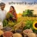 खरीफ फसलों के MSP में बढ़ोत्तरी: किसानों को मिलेगा बेहतर दाम