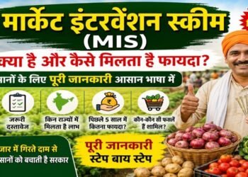 MIS Scheme
