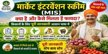 MIS Scheme