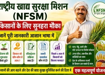 NFSM Scheme
