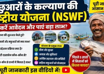NSWF योजना