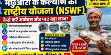 NSWF योजना