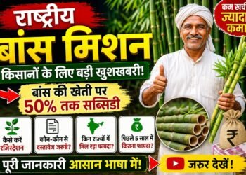 National Bamboo Mission