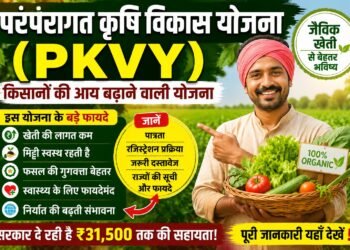 PKVY Scheme
