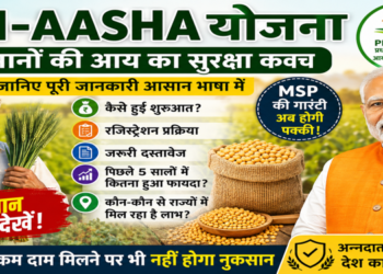 PM-AASHA: PM-AASHA योजना: किसानों को MSP का सुरक्षा कवच देने वाली बड़ी सरकारी पहल